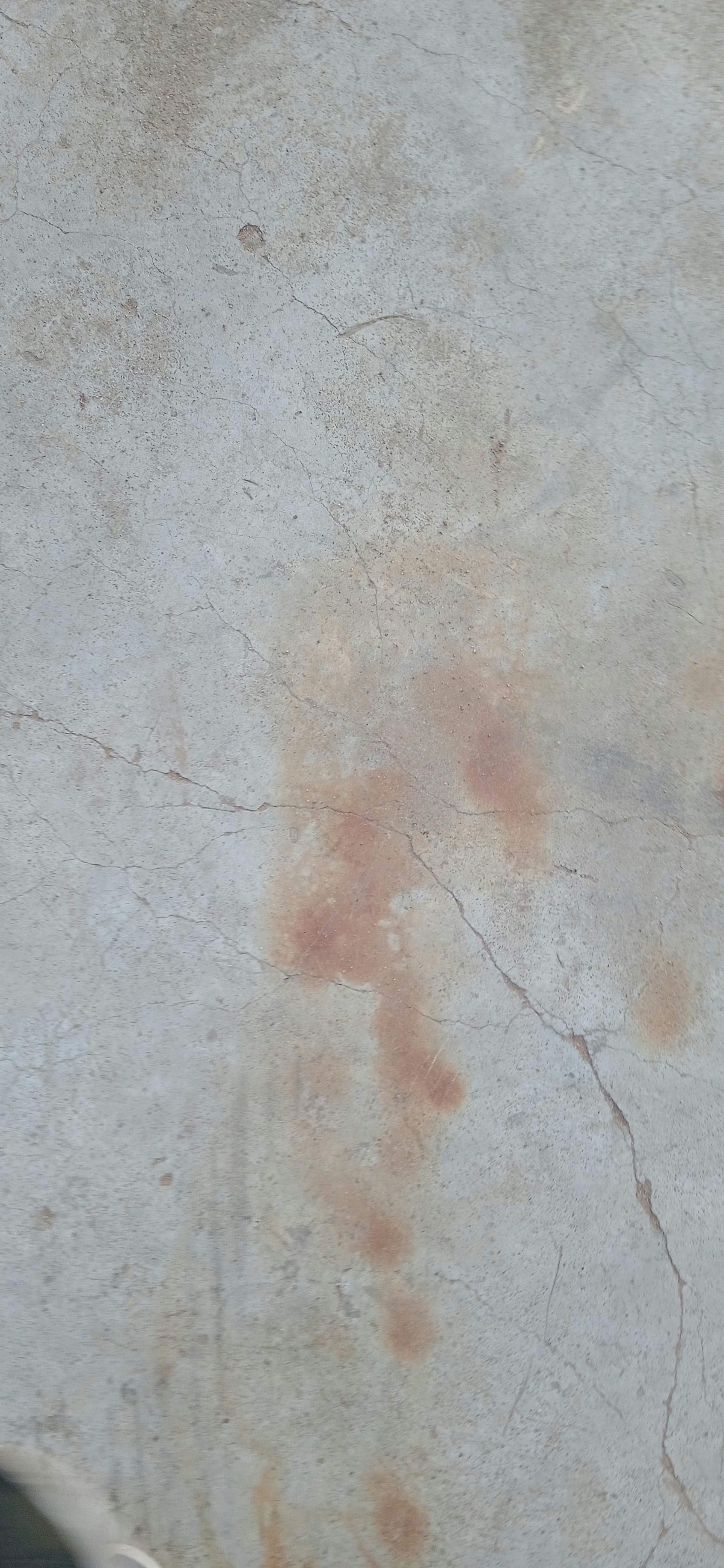 Driveway Cleaning Result