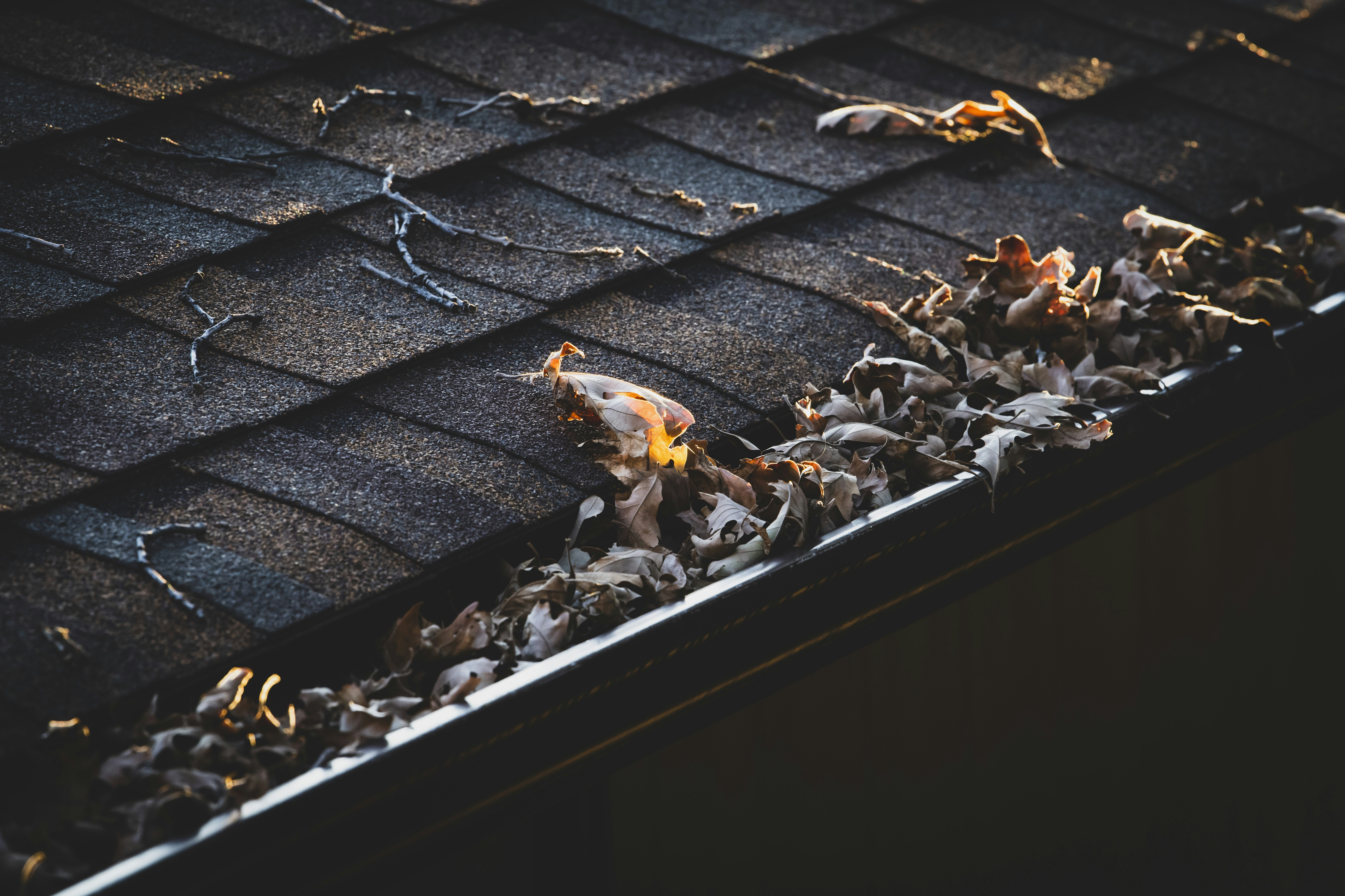 Gutter Cleaning Result